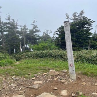 山頂は地味め