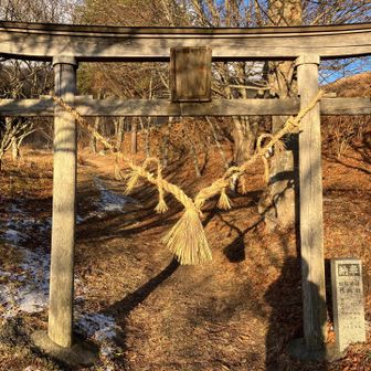 リンボーダンス状態で