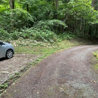ここに駐車