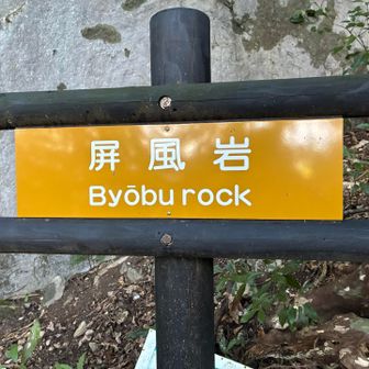 こんな名前なのね！