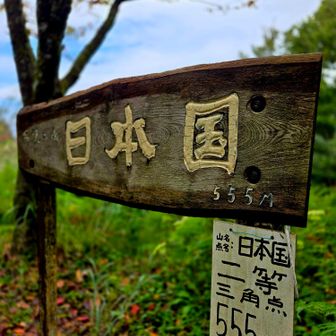 インスタ風に笑