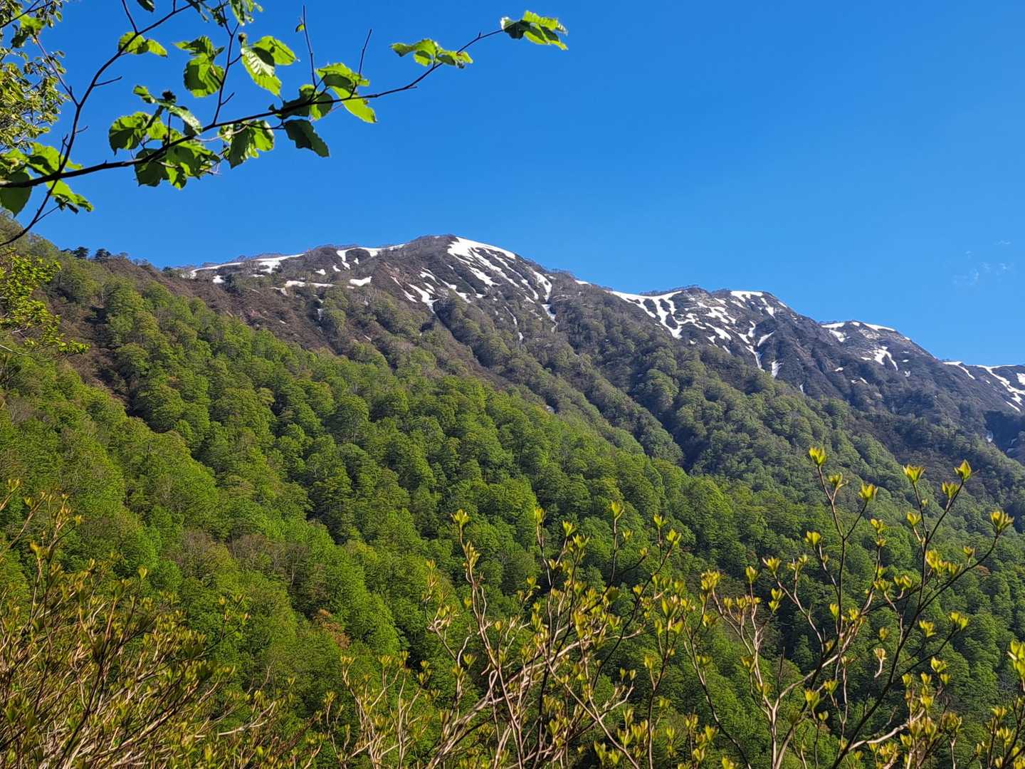 三国山に続く尾根