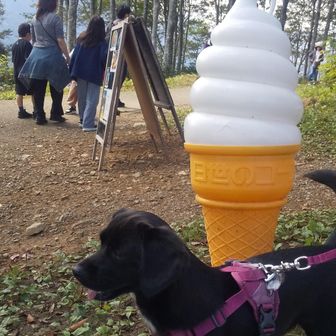 食べる場所もあり🍦