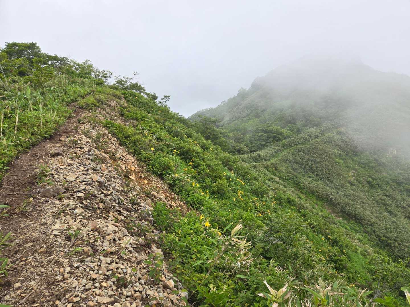 鎌ヶ峰への稜線

ふふふ、私にとってこのガスは高度感を減らす🤭