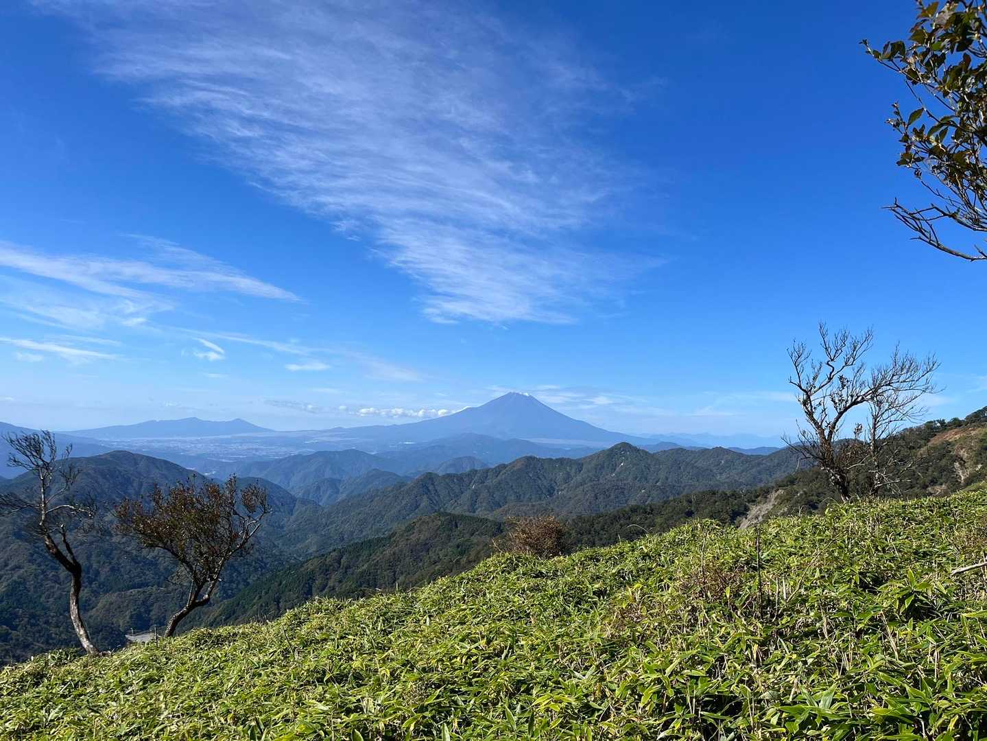戸沢の出合登山口-塔ノ岳-日高-竜ヶ馬場-丹沢山 往復コースの写真