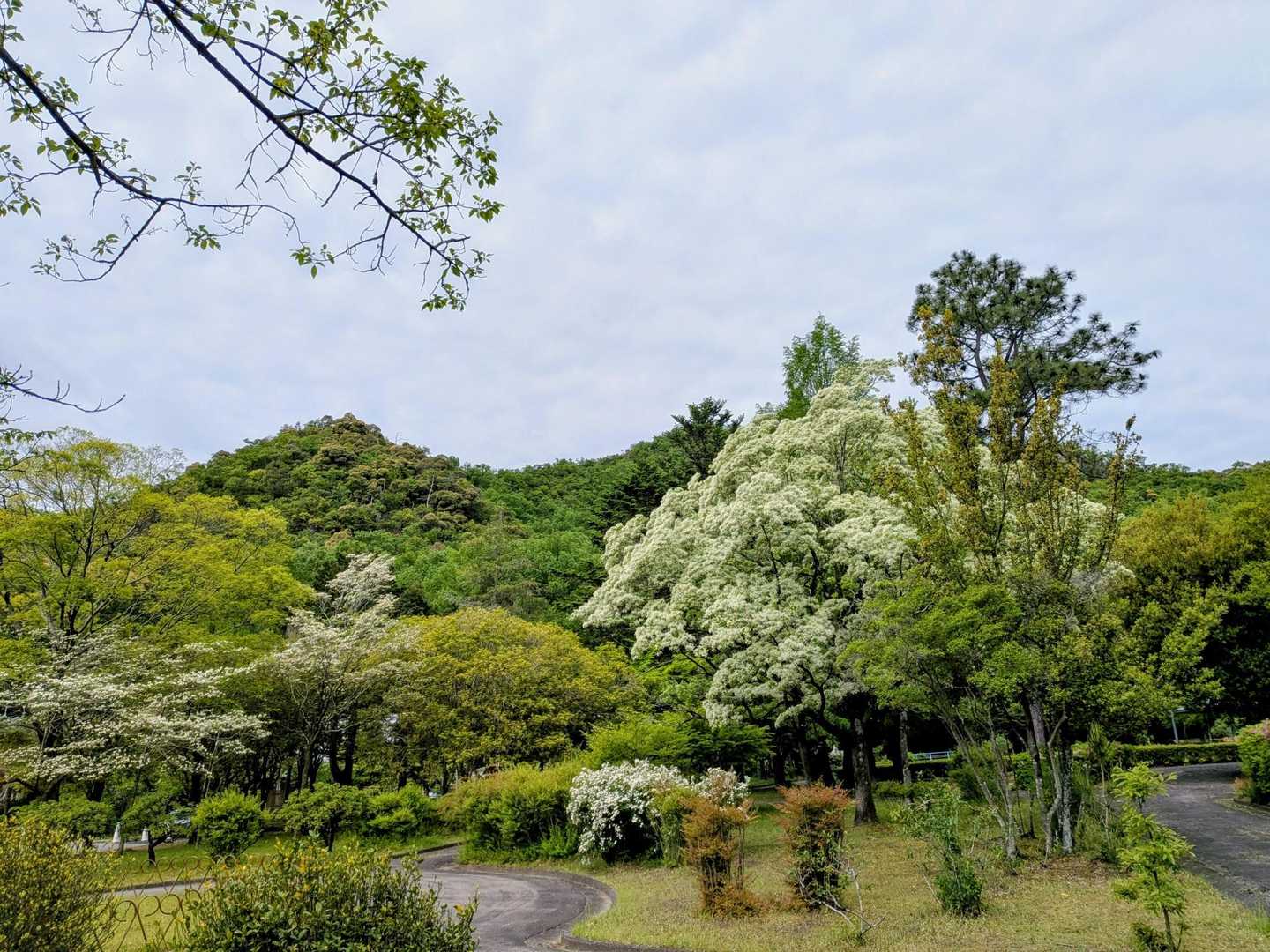 今日も良き眺めウォーキングできて感謝感謝です。