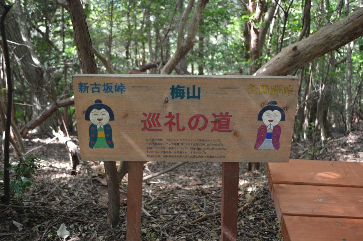 梅山です⛰️