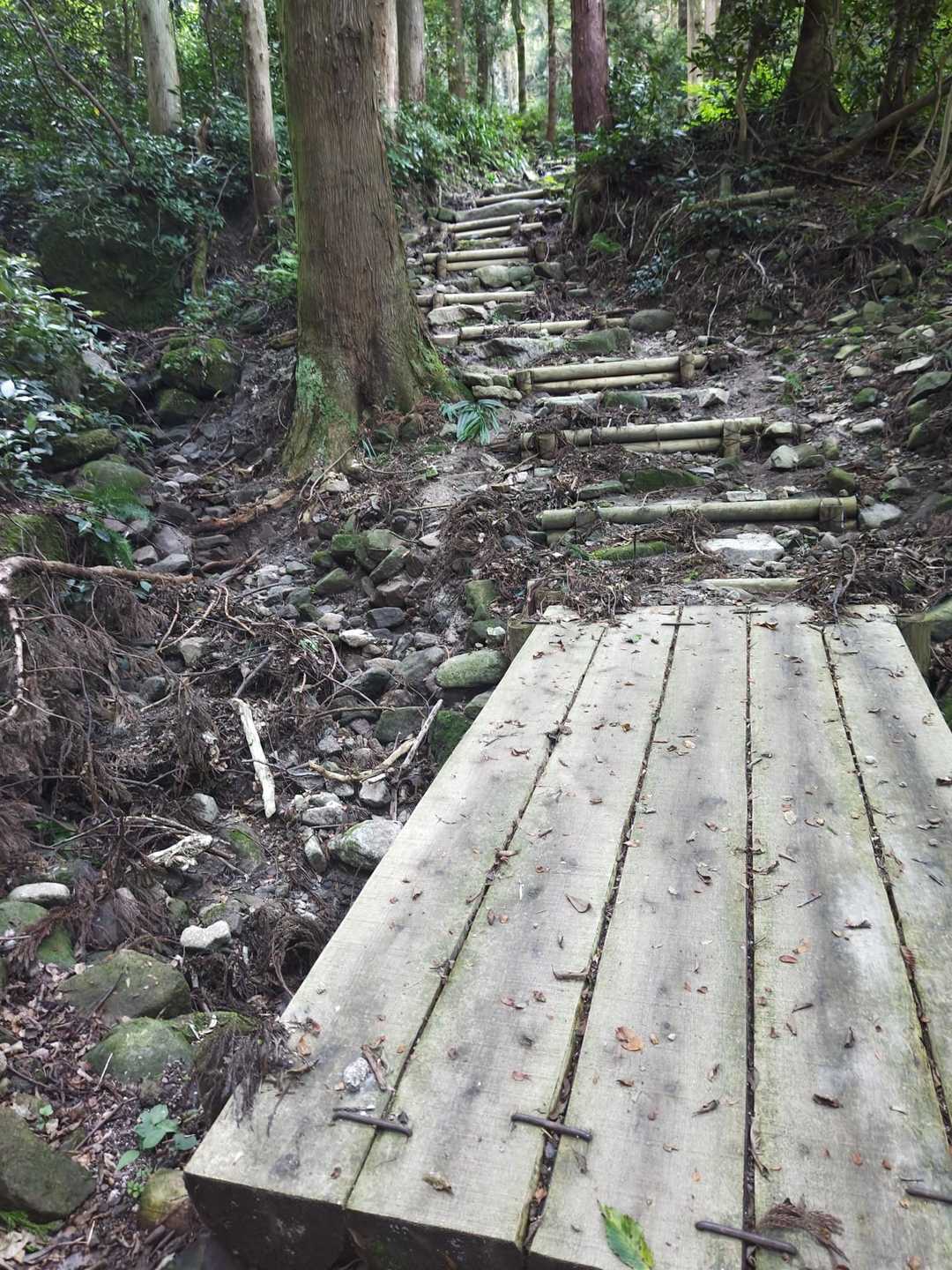 しっかり整備された登山道🎶🤗