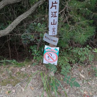 ここまでの道が兎に角抉れててしんどい