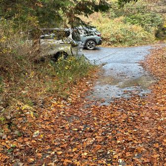 林道は一応普通車も入れたようですが、駐車場は満杯だったので、結果オーライということで。