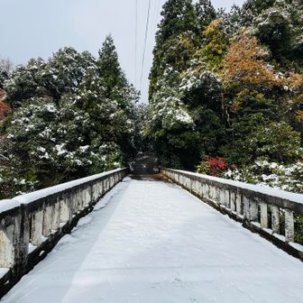 秋と冬がコラボってる！