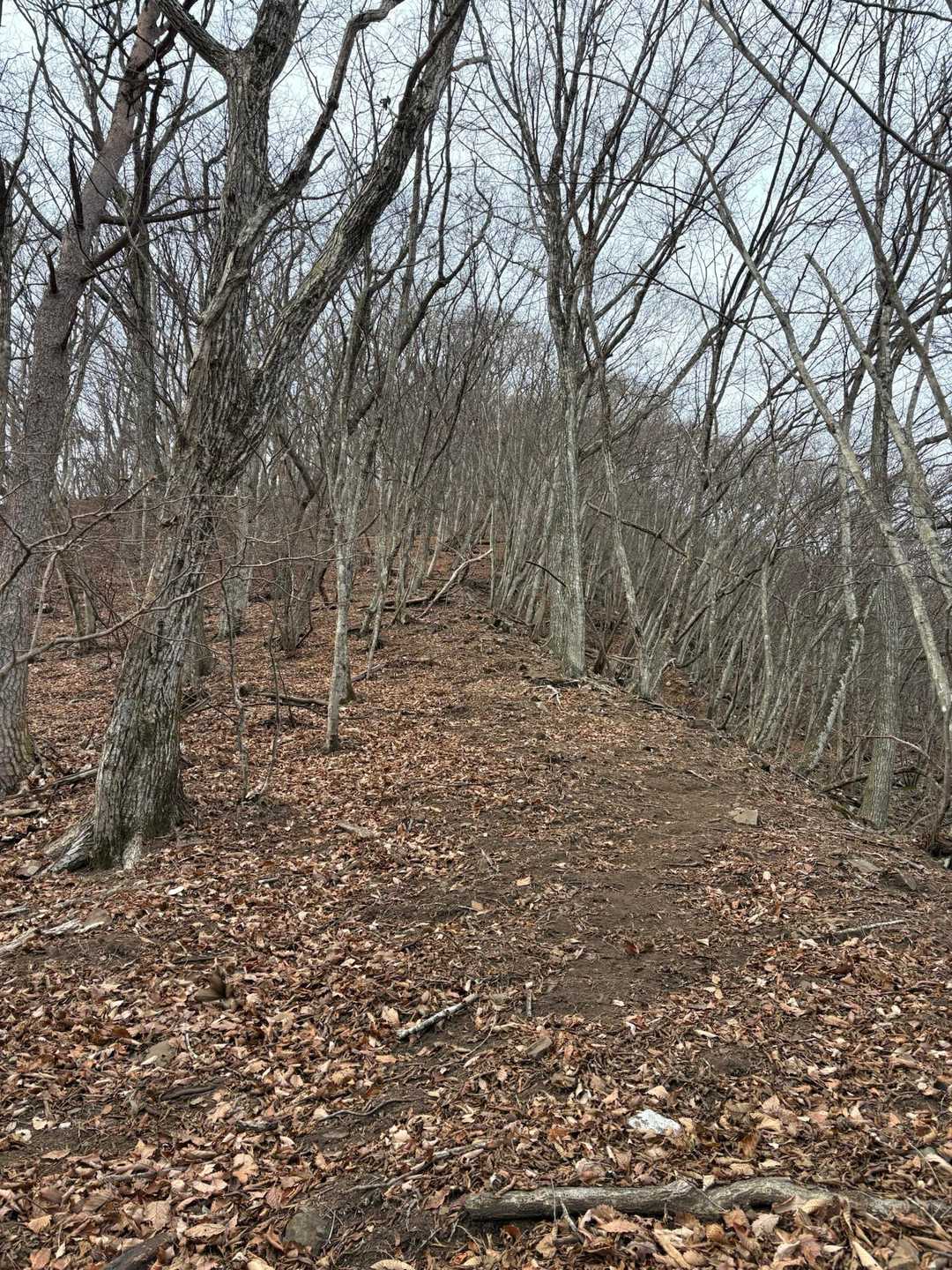直登　右側は崖