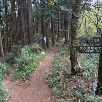 さぁ〜手拭い探しの旅に出よっと🫣