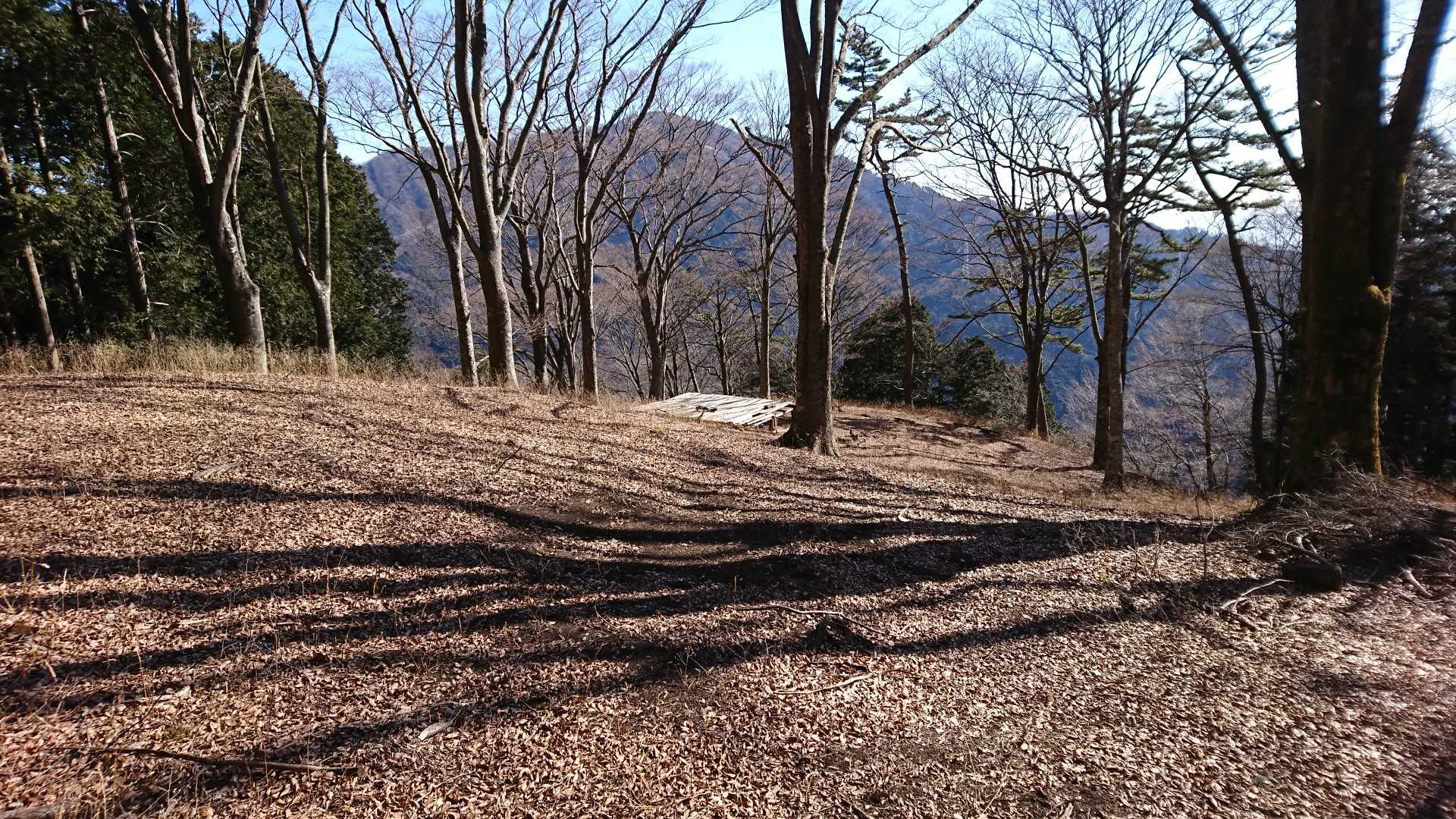 進行方向の左手下方にベンチが見えたので・・