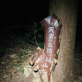 天城山（天城城）に到着

ここは鞍骨城の出城と言われている

平時は清野氏（武田方）の支配下にあったと想像される

妻女山と天城城の間の尾根は広め（3-5名同時に進める）となっていて、天城城は妻女山（上杉謙信本陣）から距離1kmほど、標高+200mほどであり、間違いなく最前線の一つであったと想像する
