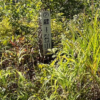 東屋まで降りてきて
ここからは蔵王堂コースで下山します
