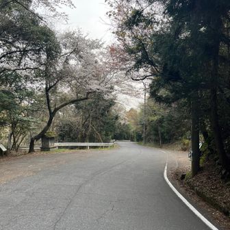 牛洞山から下山し🅿️で終了☑️