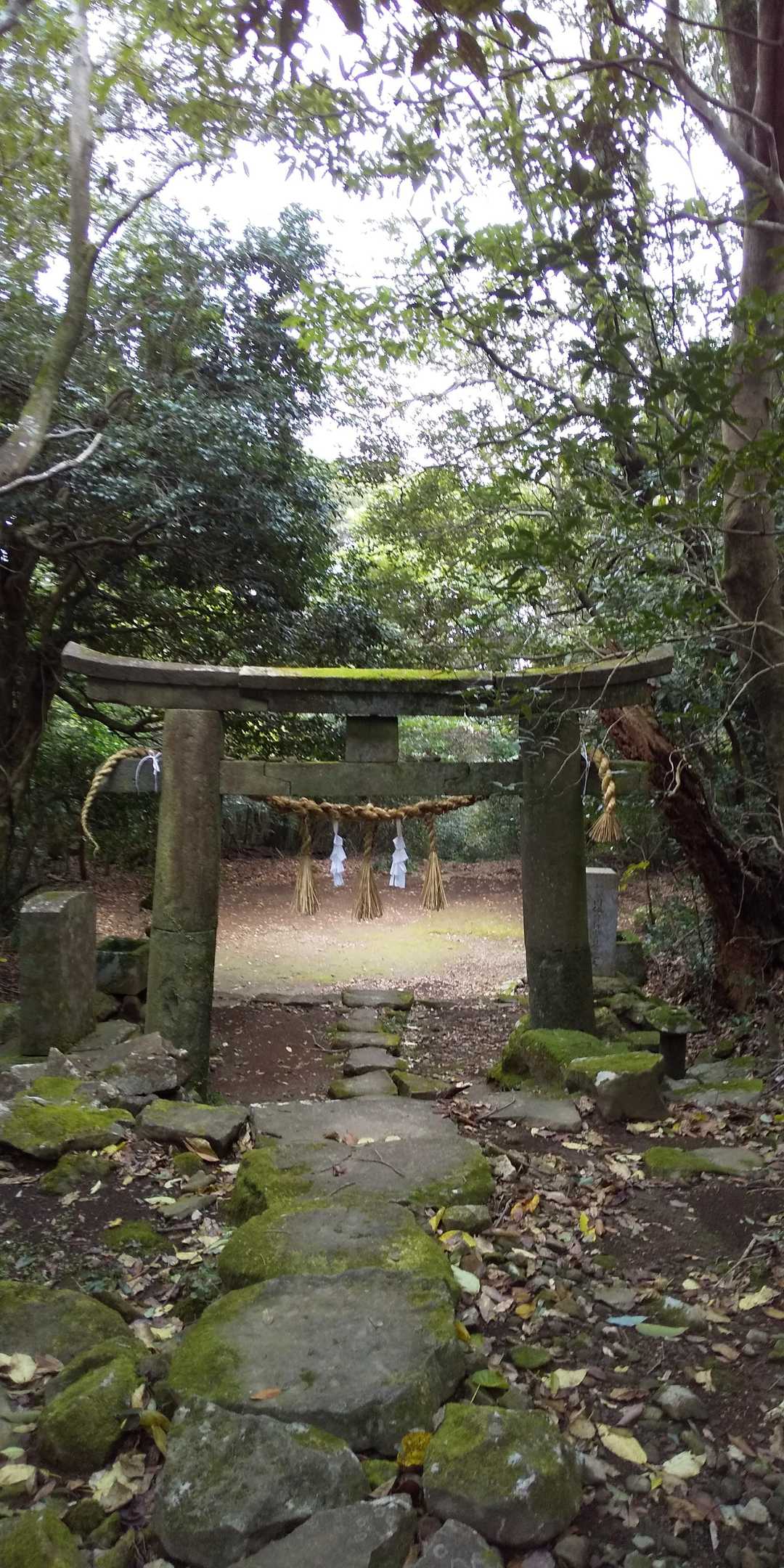 鳥居⛩️あり😄