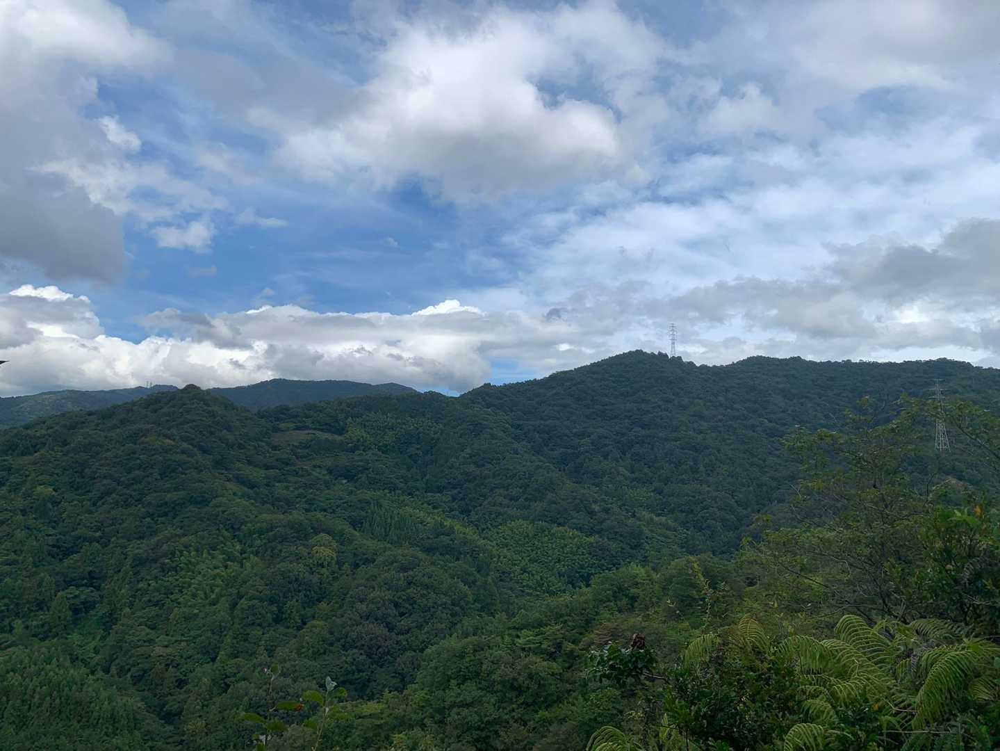 倉谷山。
今日は行かない。