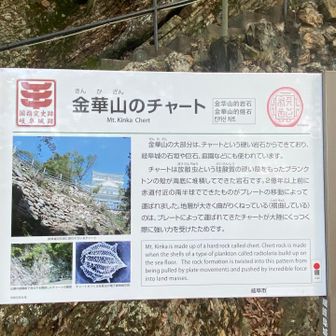 ここにも地質の説明看板が