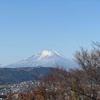 浅間山からの富士山🗻今日もいい天気だ。