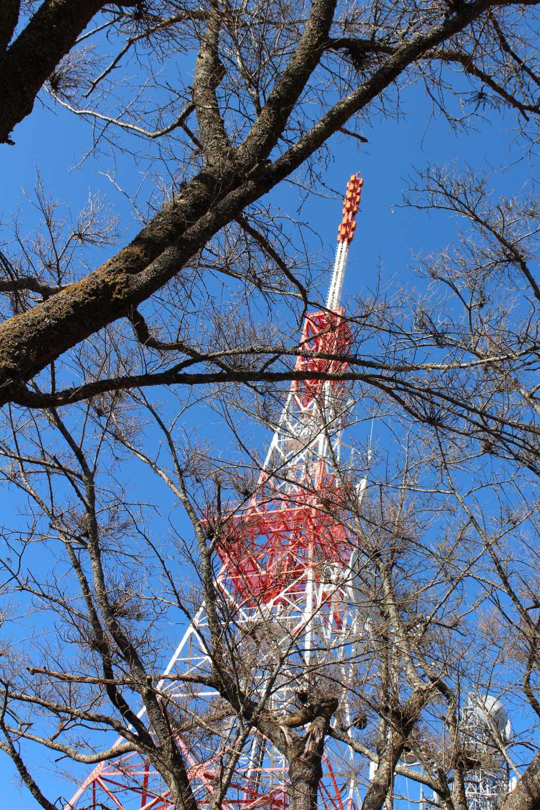 紅白の鉄塔が見えてきます。