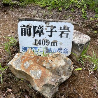 初登頂
山頂前はスリルあり＾＾

なかなかのアドベンチャーゾーンは
道が分かりづらく荒れている

あとは下山
風が無く温度上昇・暑い