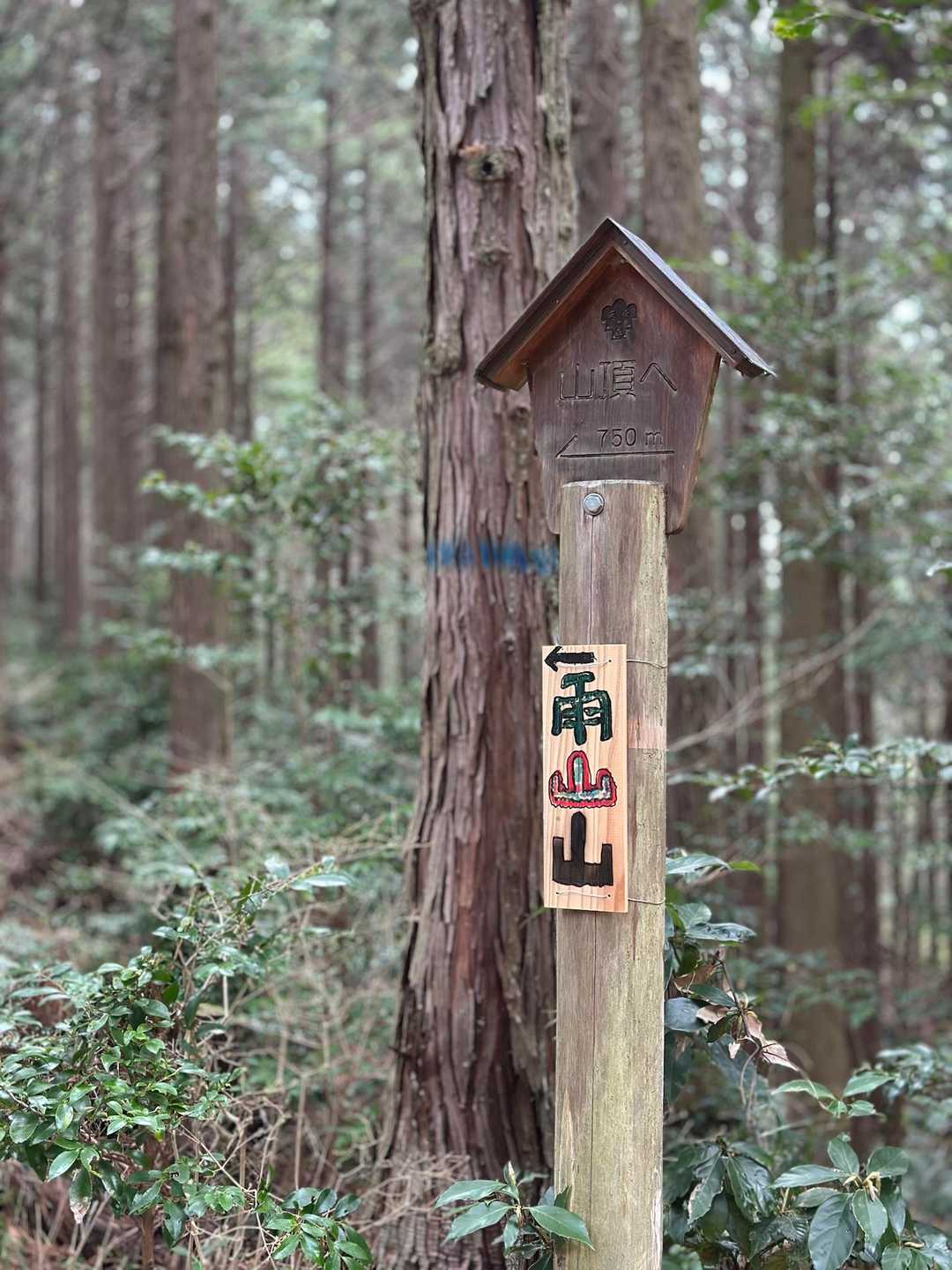 雨山　登山口-雨山山-屋床峰 周回コースの写真