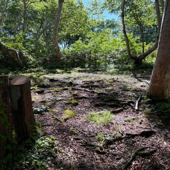 途中の広場