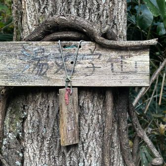 山座同定標
　　なにかある🤨
と、思いながら降りて行きます