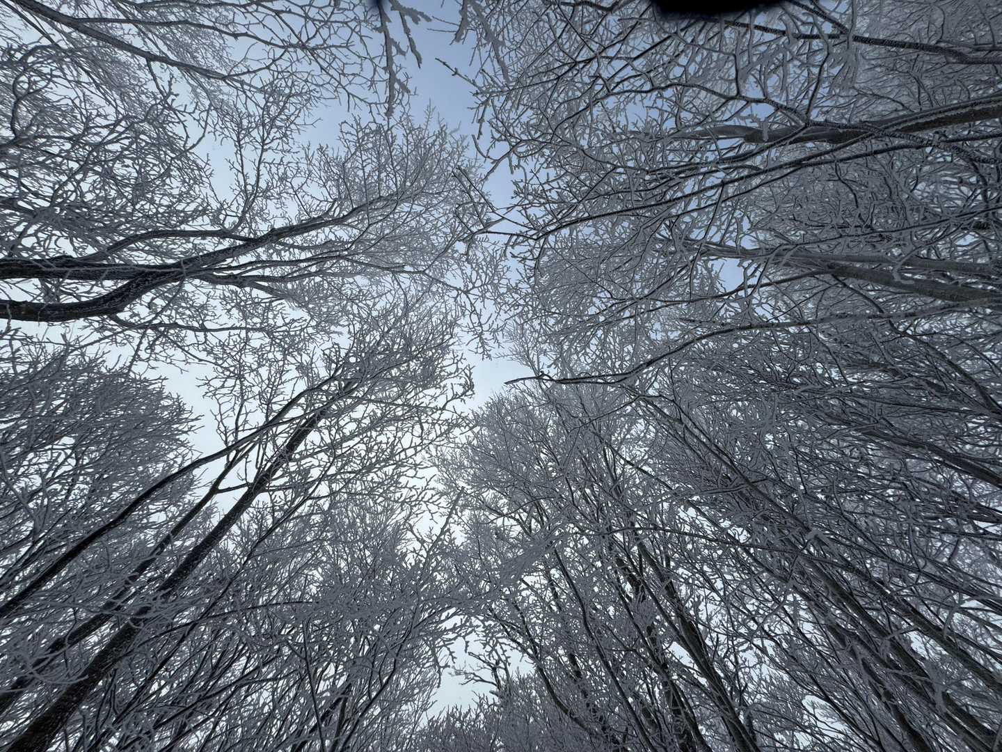 寧比曽岳 往復コースの写真