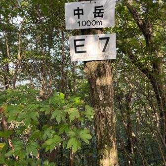 中岳、登頂🙌
