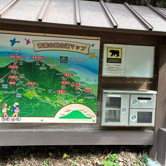 無事に今寺口に下山