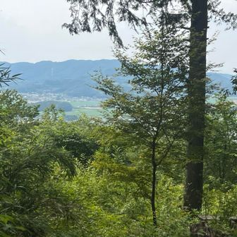 北西側の視界が開けました。
連なっている山々の名前は分かりません😓