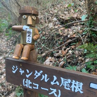 木製人形が可愛い