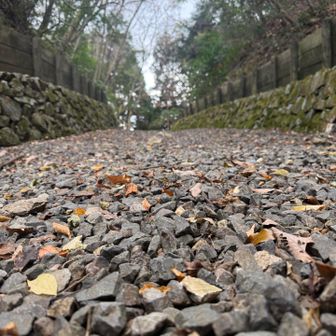 ココが、歩いてみたかッた道！