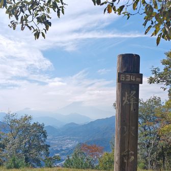 岩殿山の山頂