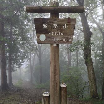 山頂標に置いておいたので心当たりのある方はこちらへ。