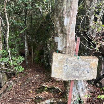 九合目
この後はあっという間