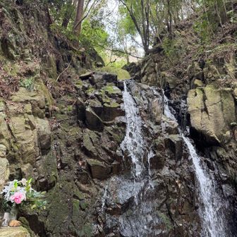 権現の滝に到着