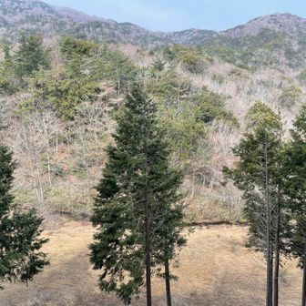 展望台からの風景は…まぁうん。