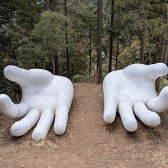 前の時はドスルーでした。