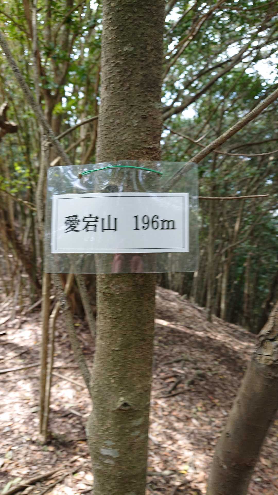 ここにも有ります☺️