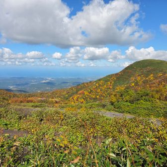 この後展望台で青森放送にインタビューされました
～でございます、とか普段使わない言葉で話してしまいました