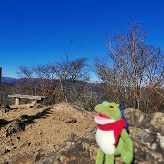 岩に登って撮影