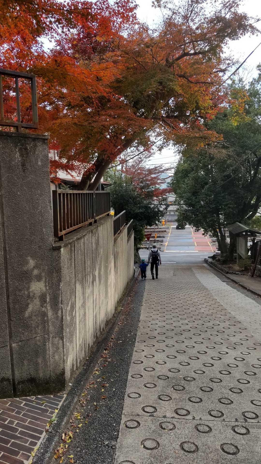 酒解神社-天王山 往復コースの写真