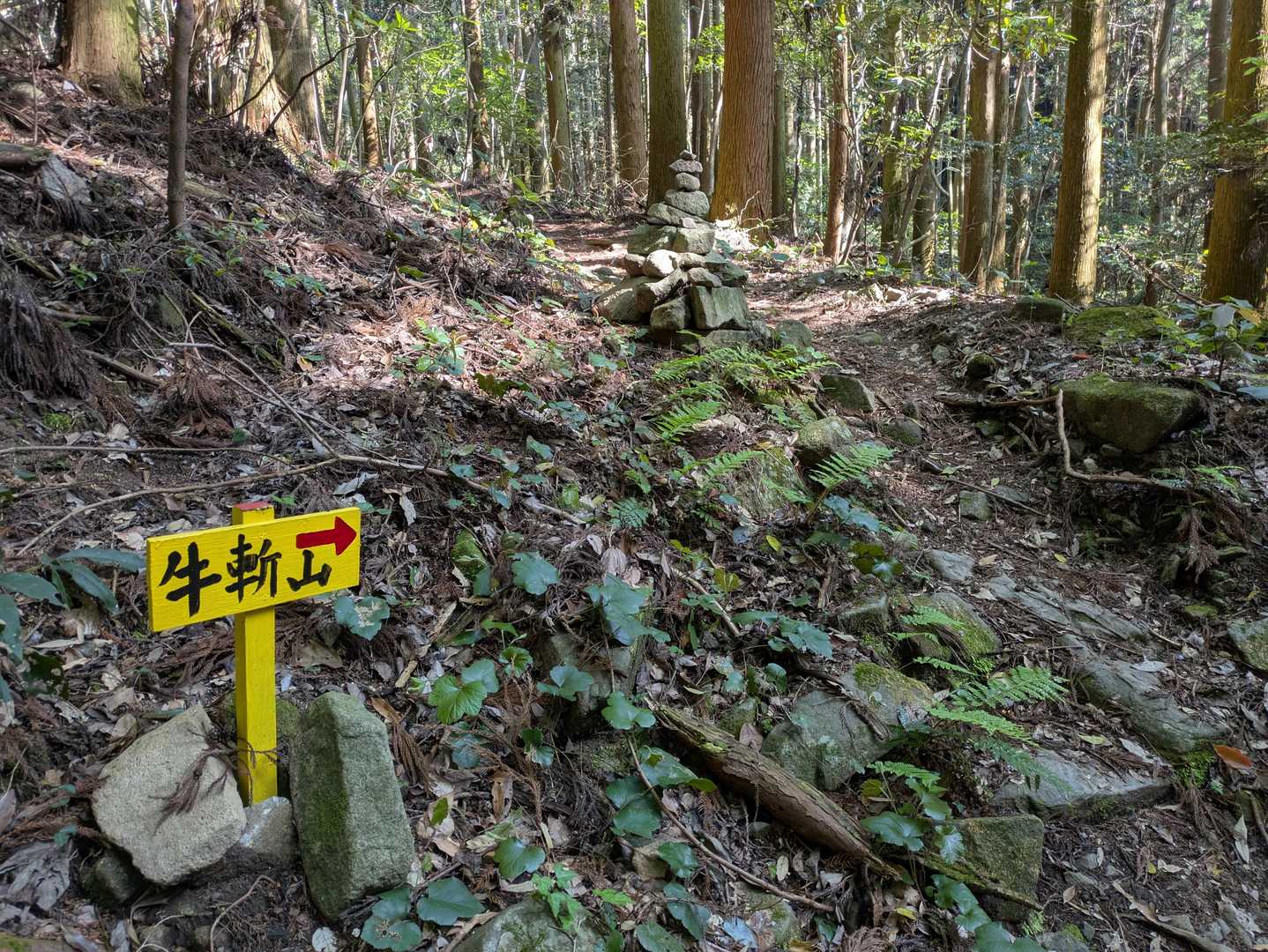採銅所駅-牛斬山 往復コースの写真