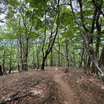 さて、下山します。最後は「FUJIYAMAツインテラス」に寄るのが楽しみ😀