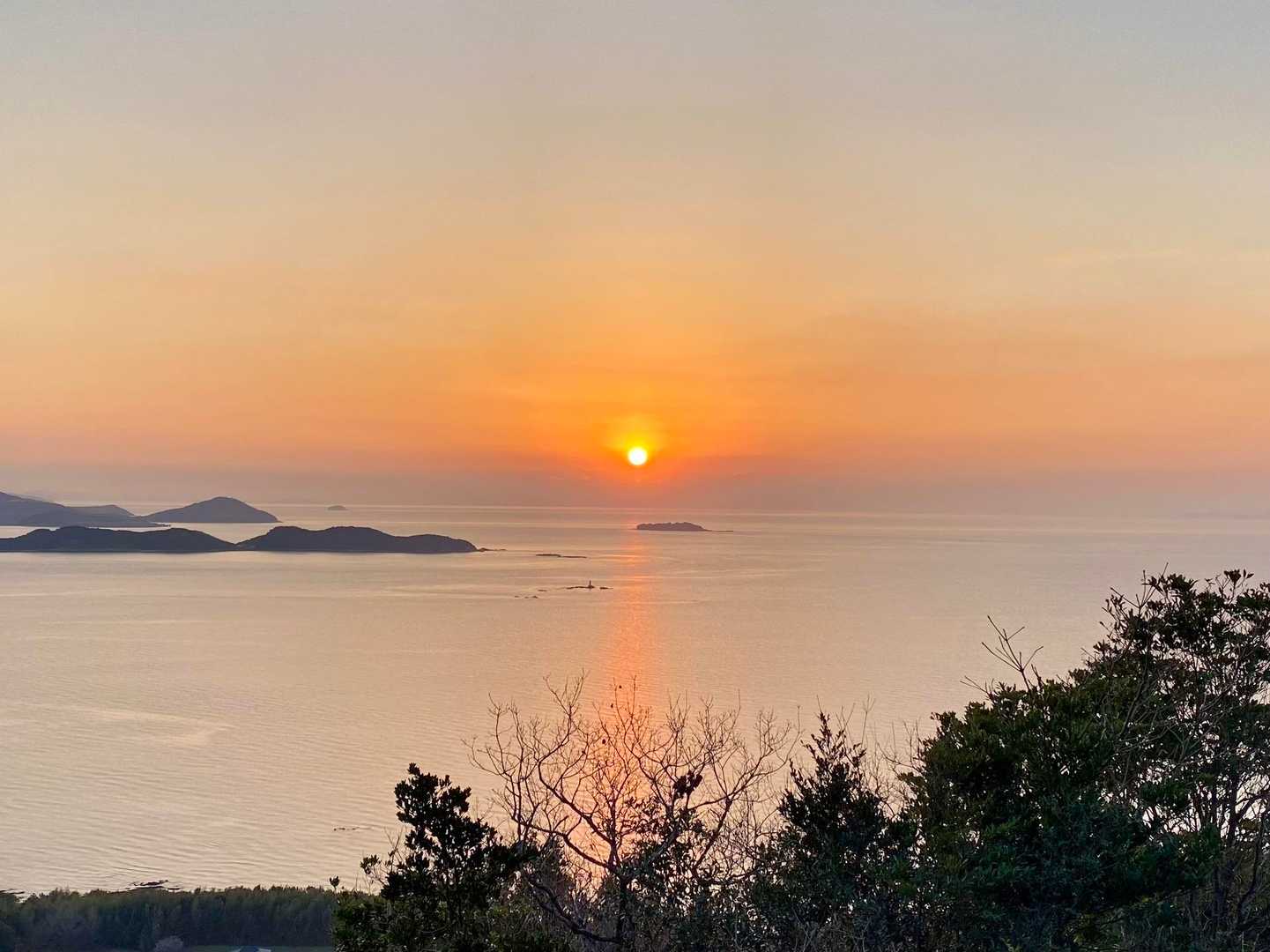 🌅