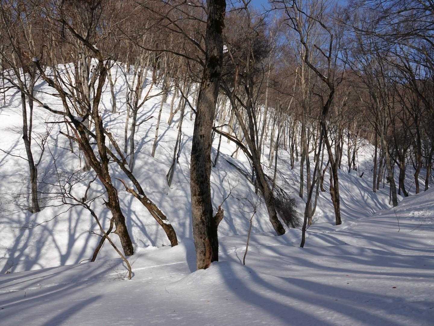 ここを右手の方へはまだ歩いてないな～